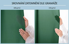 Záves Carli s dizajnovými pútkami 140x250 cm - výber z 10 prevedení