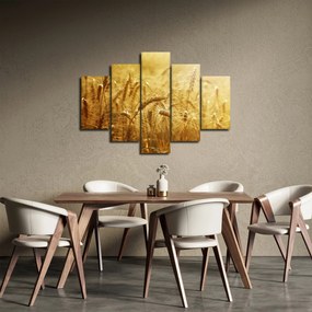 Obraz - Klasy obilia (150x105 cm)
