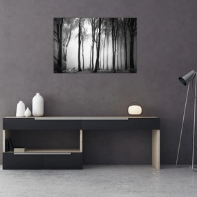 Obraz - Vlk v temnom lese (90x60 cm)