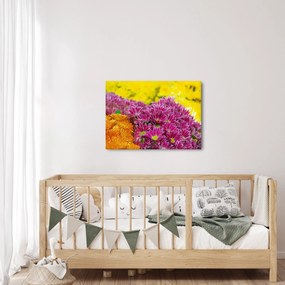 Obraz ružového kvetu (70x50 cm)