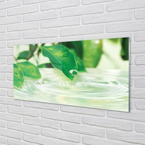 Obraz na skle Kvapky vody lístia 120x60 cm