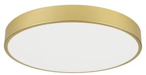 Immax NEO 07293L - LED+CCT stmievateľné stropné svietidlo SEMPLICI 60W/230V, priemer 60 cm + diaľkový ovládač