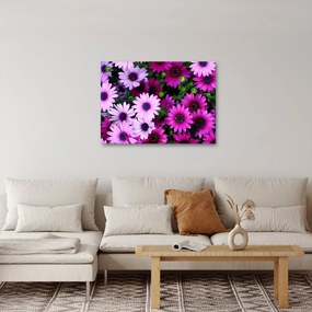 Obraz - Kvety (70x50 cm)