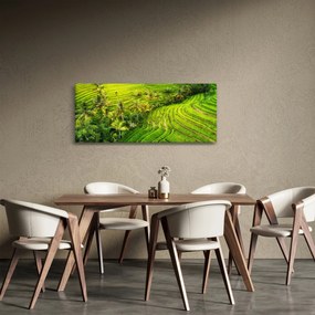 Obraz - Ryžové terasy (120x50 cm)