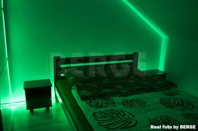 ECOLIGHT LED pásik - SMD 2835 - 5m - 60LED/m - 4,8 W/m - zelený - IP65 - s konektorom