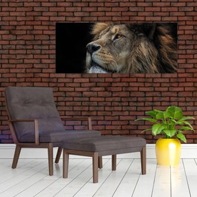 Obraz - Majestátny lev (120x50 cm)