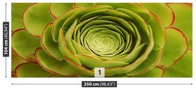 Fototapeta Vliesová Zelený kvet 152x104 cm