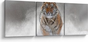 Obraz bežiaceho tigra v snehu (s hodinami) (90x30 cm)