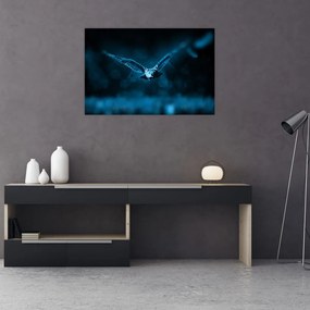 Obraz letiacej sovy (90x60 cm)