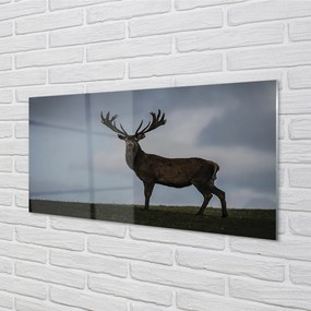 Obraz na akrylátovom skle Lúčenie so slobodou 140x70 cm