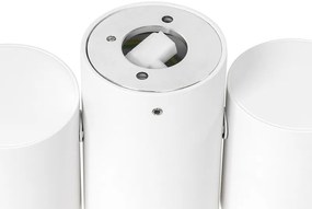 Dizajnové bodové svetlo biele 2-žiarovkové nastaviteľné - Michael