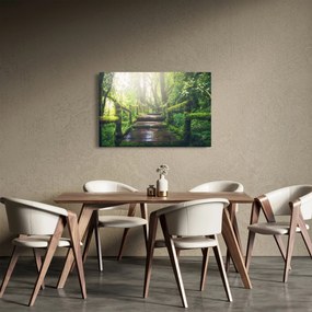 Obraz - drevené schody v lese (90x60 cm)
