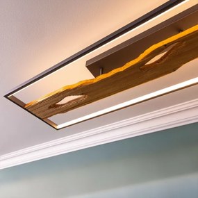 Brilliant - LED Stmievateľné stropné svietidlo CHAUMONT LED/48W/230V