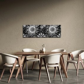 Obraz - Čiernobiele bodliaky (s hodinami) (90x30 cm)