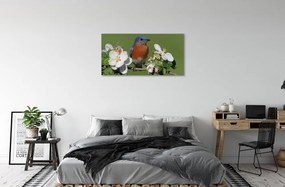 Obraz na plátne Kvety farebné papagáj 140x70 cm