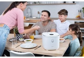 Lauben Low Sugar Rice Cooker 3000WT