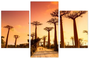Obraz - Západ slnka v uličke Baobab (90x60 cm)