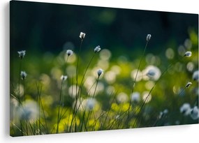 Obraz - Tráva (90x60 cm)