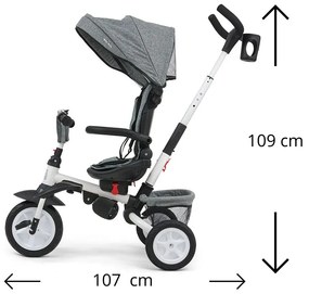 Detská trojkolka 6v1 Milly Mally Stanley pink