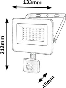 Rabalux 7068 - LED Reflektor so senzorom FLOOD LED/30W/230V 4000K IP44 čierna