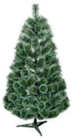 Limpol Borovica Natalia 1,20 m