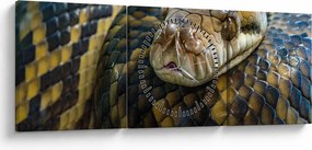 Obraz - Pytón (s hodinami) (90x30 cm)