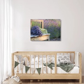 Sklenený obraz - Levanduľové zväzky (70x50 cm)