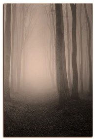 Obraz na plátne - Hmla v lese - obdĺžnik 7182FA (100x70 cm)
