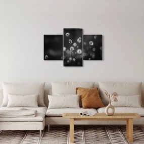 Obraz - Cottongrass na lúke (90x60 cm)