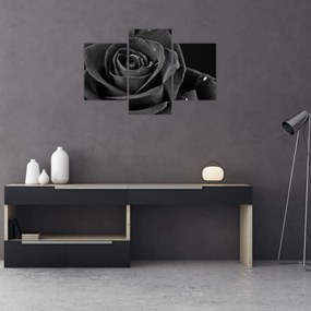 Obraz - Červená ruža (90x60 cm)