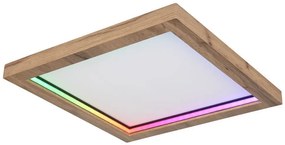 Globo 41374-24 - LED RGBW Stmievateľné stropné svietidlo BRANZA LED/24W/230V + DO