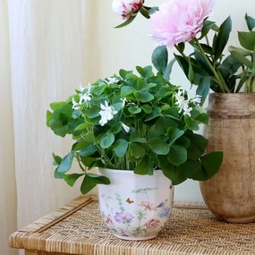 Krémový antik keramický kvetináč s kvetmi Papillon Blossom - Ø 14*12 cm