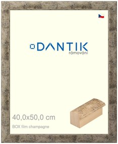 DANTIK rám na obraz 40x50 | BOX film champagne (Plexi Čiré)