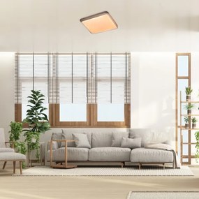 Rabalux 71166 - LED stropné svietidlo DRUZOR LED/40W/230V 3000K