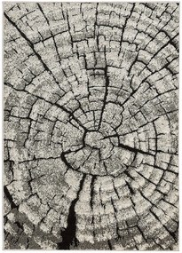 Koberce Breno Kusový koberec PHOENIX 6021 - 0244, hnedá, viacfarebná,133 x 190 cm