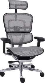 Grospol - Kancelárske kreslo Ergohuman 2 Elite BS Grey