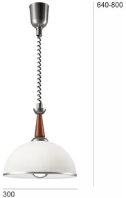 Sťahovací luster CHIARA 1xE27/60W/230V strieborná/buk