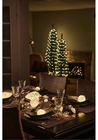 Vianočná svetelná dekorácia počet žiaroviek 8 ks dĺžka 120 cm Celina – Sirius