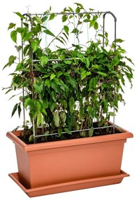 Gardenico Vertikálna podpera Green Wall Magnus, 80 cm, 80 cm