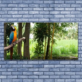 Obraz plexi Papagáj stromy príroda 120x60 cm