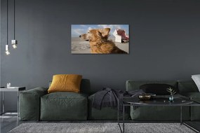Obraz na plátne Hnedý pes beach 140x70 cm