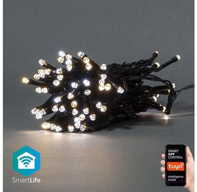 Nedis SmartLife LED Wi-Fi Teplá až studená biela 50 LED 5 m Android/IOS WIFILX02W50