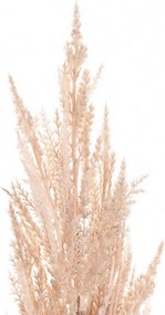 Vetvička trávy pampas 91cm pink