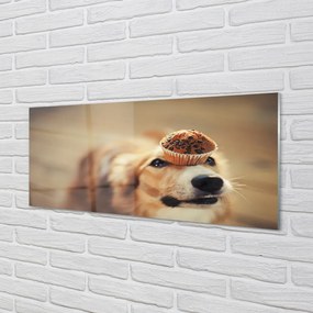 Obraz na akrylátovom skle Dog bun 120x60 cm