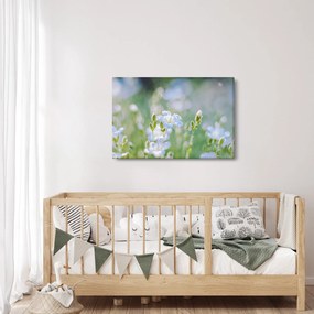 Obraz - Jemné kvety (90x60 cm)