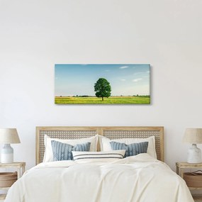 Obraz stromu na lúke (120x50 cm)