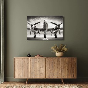 Obraz - Warbird (90x60 cm)