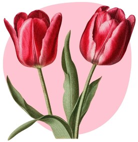 PIPPER. Textilná nálepka na stenu "Tulipány"