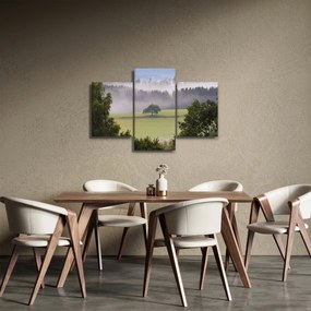 Obraz lúky so stromom (90x60 cm)