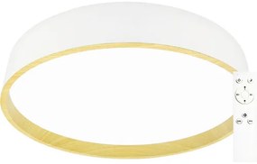 LED stropné svietidlo Top Light Dekor 40B RC 51W 5100lm 3000-6500K biele/svetlé drevo s diaľkovým ovládaním